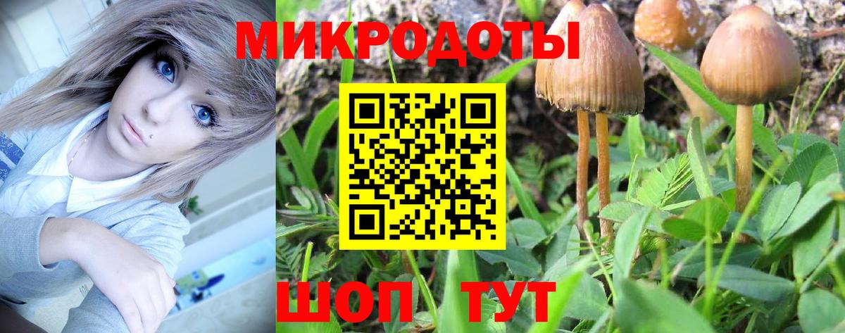 Псилоцибиновые грибы прущие грибы Москва